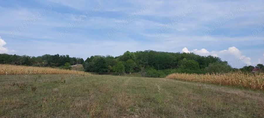 Teren de 18000 mp, în Drăgești