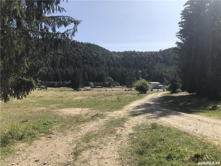 Teren de 1656 mp, în Brebina
