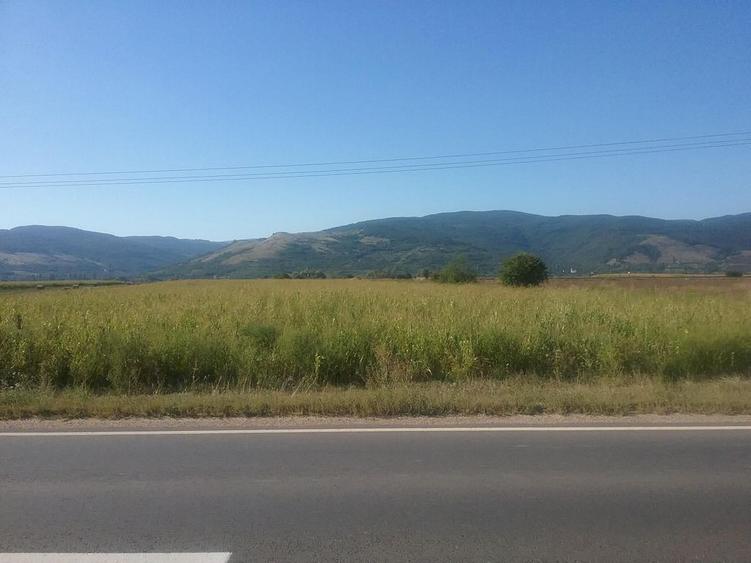 Teren intravilan, Bacainti, jud. Alba - termen 24.09 - 5
