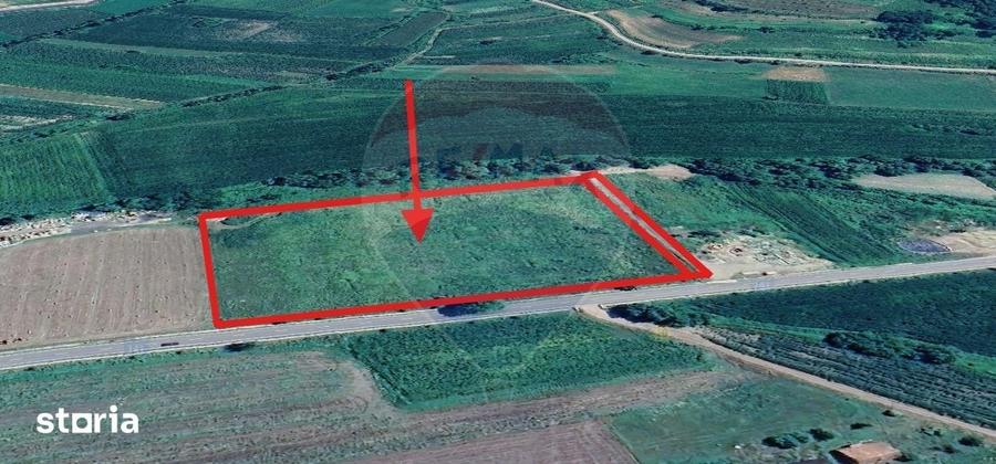 Teren de 17250 mp, în Moșna