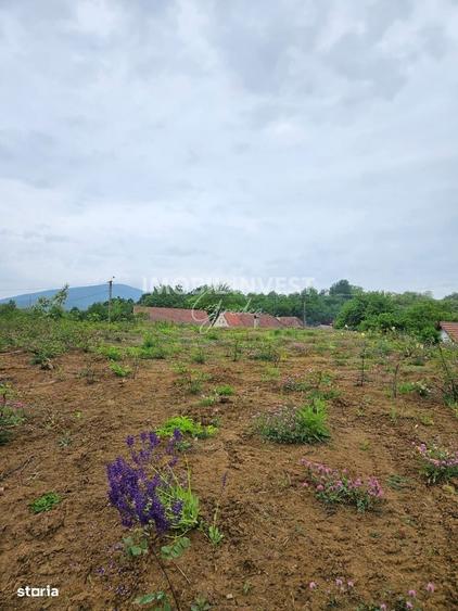Teren pentru constructie casa P+E+M, 2 parcele, Pianu de Sus - 2