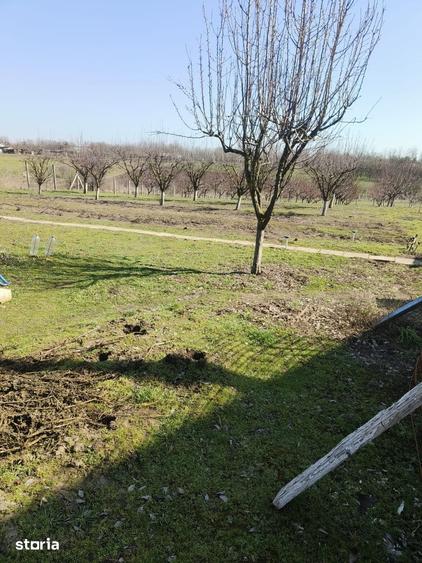 Casă cu 8 camere cu Teren 4000 Mp în Vâlcelele