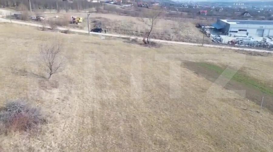Teren Construcții intravilan de 4100 mp, în Viișoara