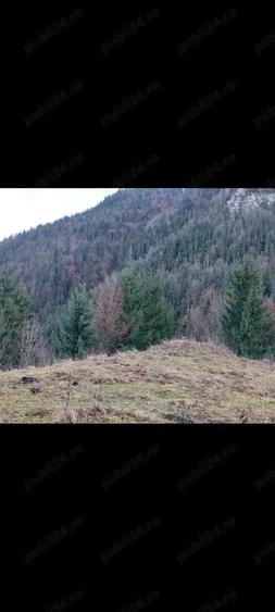 Vand ieftin 3 euro m teren , 4.000 m , Mun?ii Apuseni - 9
