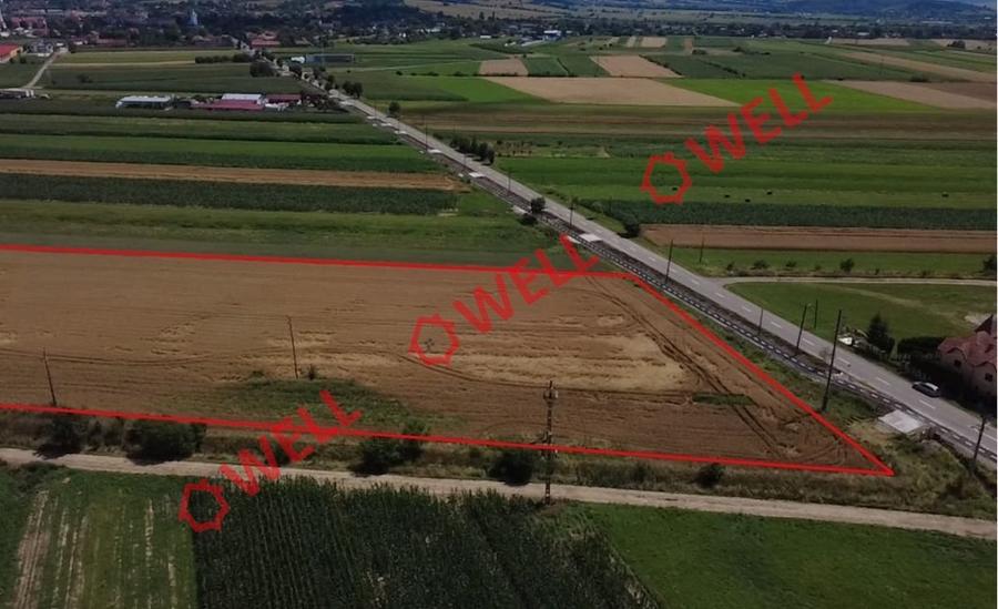 Teren extravilan de 25000 mp, în Covasna