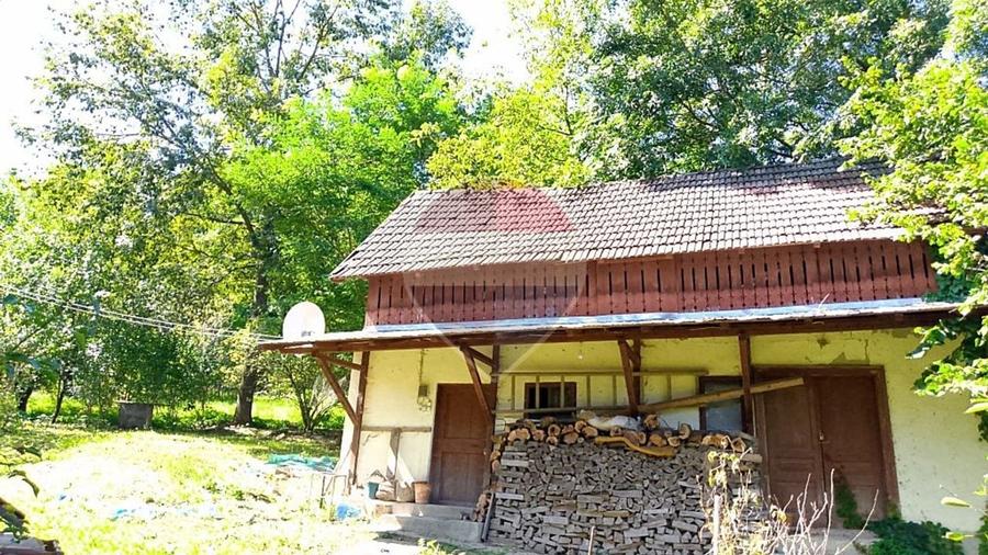 Casă individuală cu 4 camere cu Teren 6676 Mp în Provița de Sus