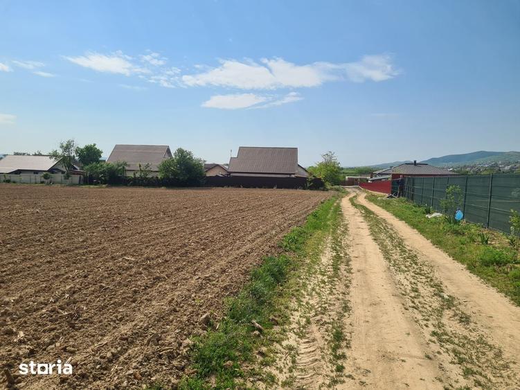 Teren 1500 mp., Magura Cujbic, Bacau - 2