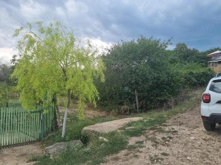 Teren de 1786 mp, în Nenciu