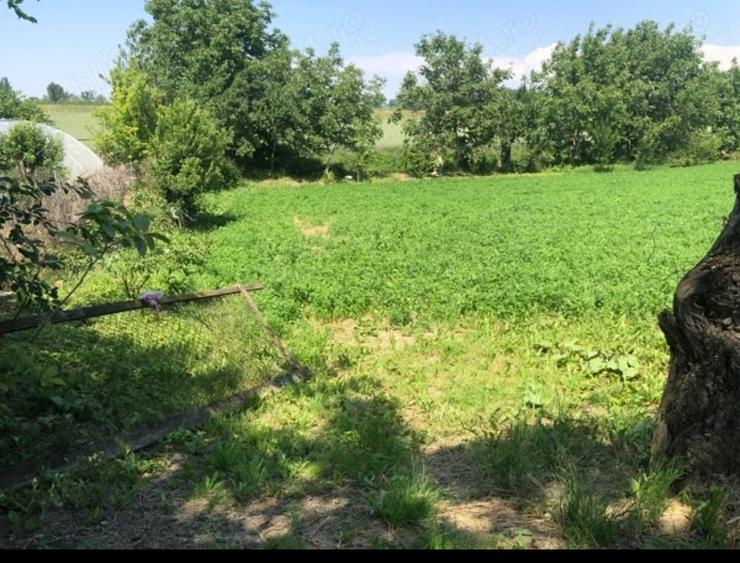 Teren de 2120 mp, în Ambud