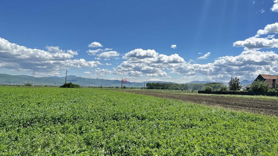 Teren Construcții intravilan de 6772 mp, în Prejmer