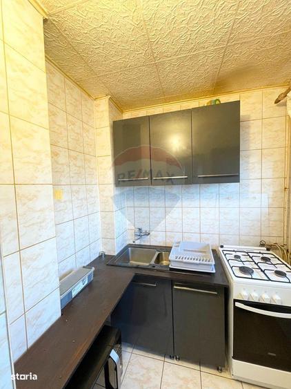 Apartament cu 1 camera de inchiriat in zona Micalaca - 2
