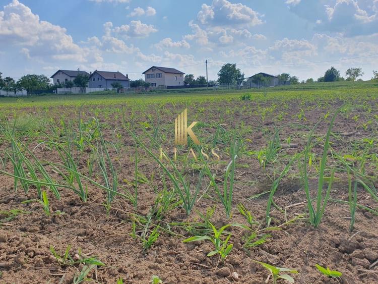 Teren Construcții intravilan de 1000 mp, în Moara Vlăsiei