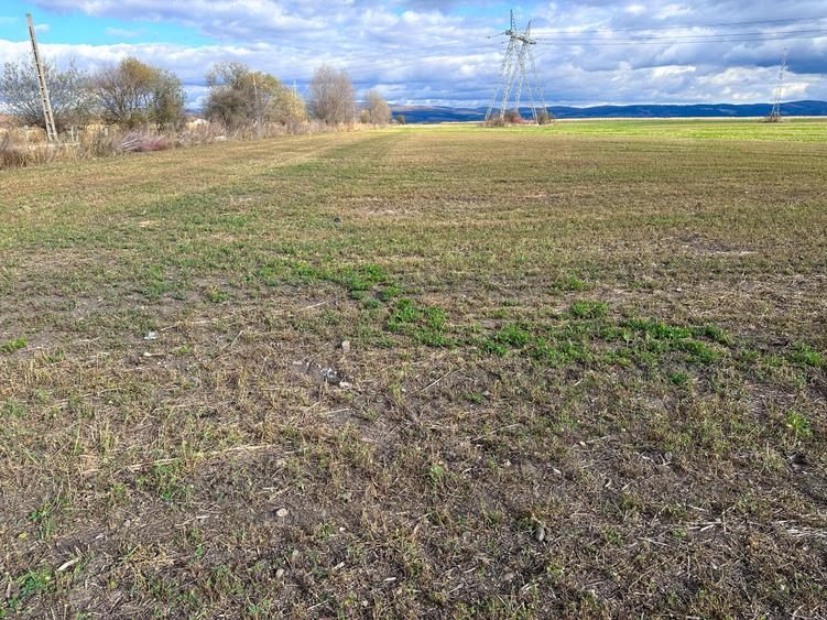 Teren agricol intravilan de 5000 mp, în Hălchiu