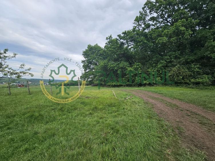 Teren agricol extravilan de 5000 mp, în Periferie