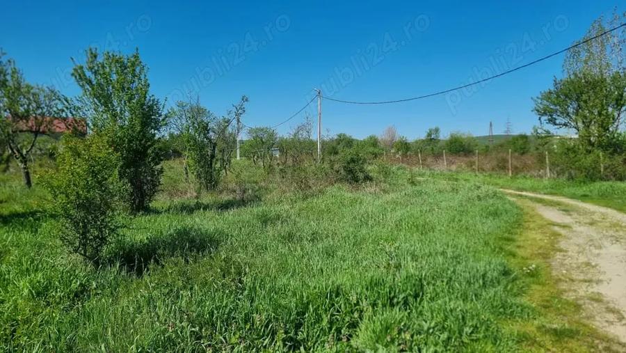 Teren de 800 mp, în Glâmbocu