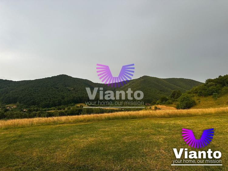 Teren agricol extravilan de 3408 mp, în Gura Râului
