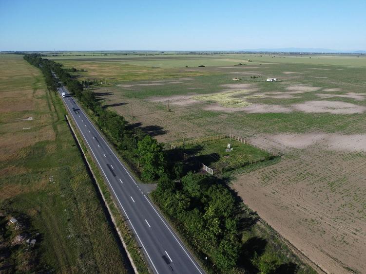 Teren Construcții intravilan de 10000 mp, în Șimand