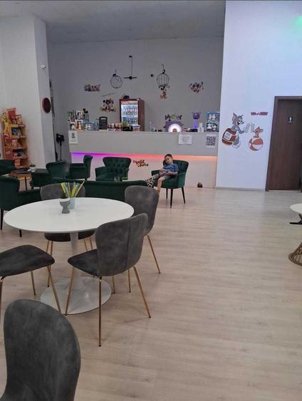 Spațiu comercial, de 363 mp, în UTA