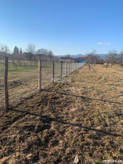 Vand teren pentru casa,intravilan