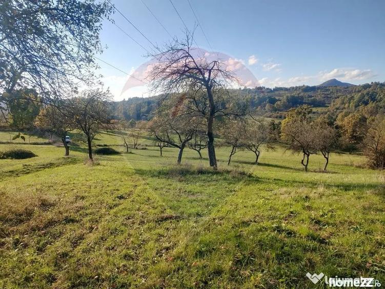 Teren în Șișești