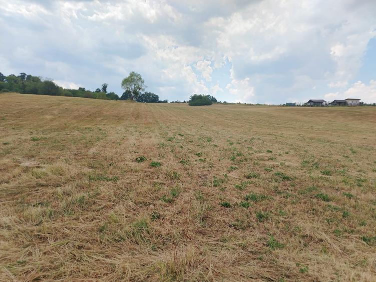 2 Parcele de teren extravilan zona Bradet Pret 3000eur/ar neg usor - 4