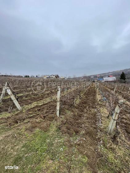 Teren de 2617 mp, în Tomești