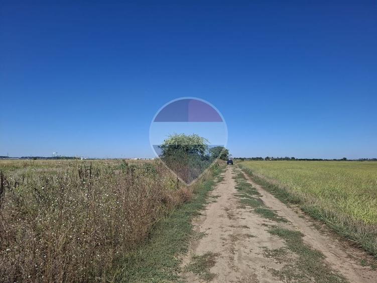 Teren agricol extravilan de 5000 mp, în Centura Vest