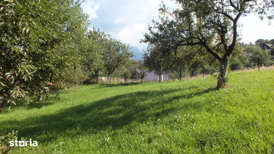 Teren de 1364 mp, în Bran