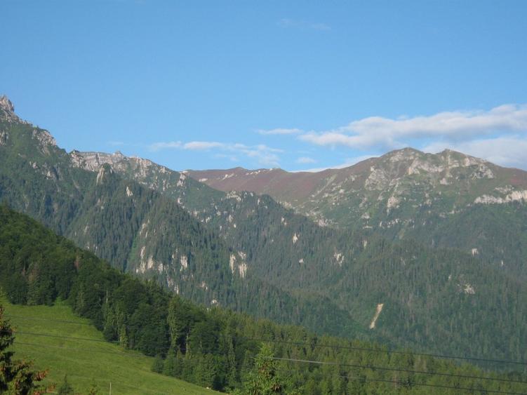 Teren Construcții intravilan de 2100 mp, în Caragiale