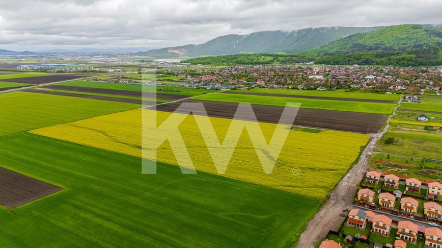 Teren agricol extravilan de 13742 mp, în Cristian