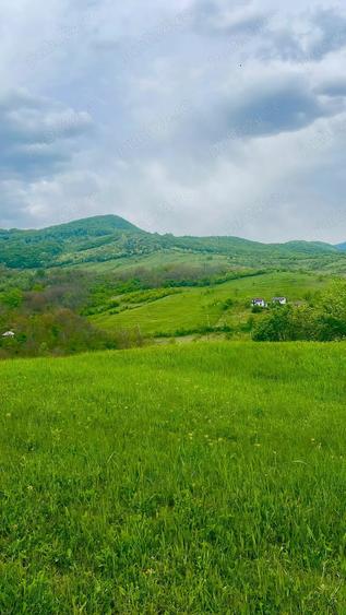 Teren în Cozieni