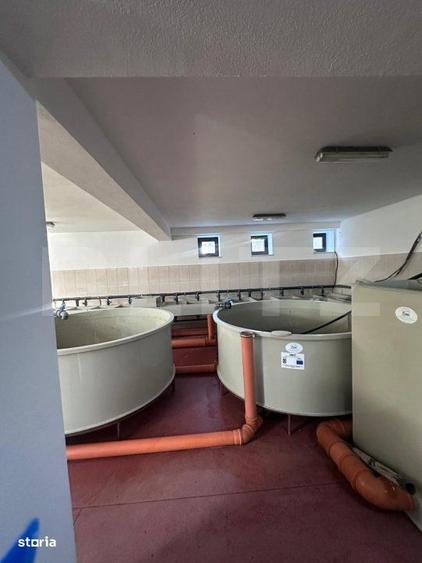 Spațiu comercial, de 334 mp, în Vama