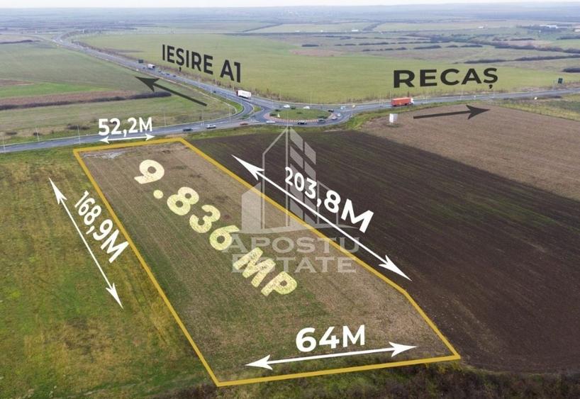 Teren agricol extravilan de 9836 mp, în Remetea Mare