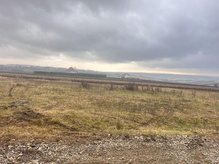 Teren agricol extravilan de 800 mp, în Moara