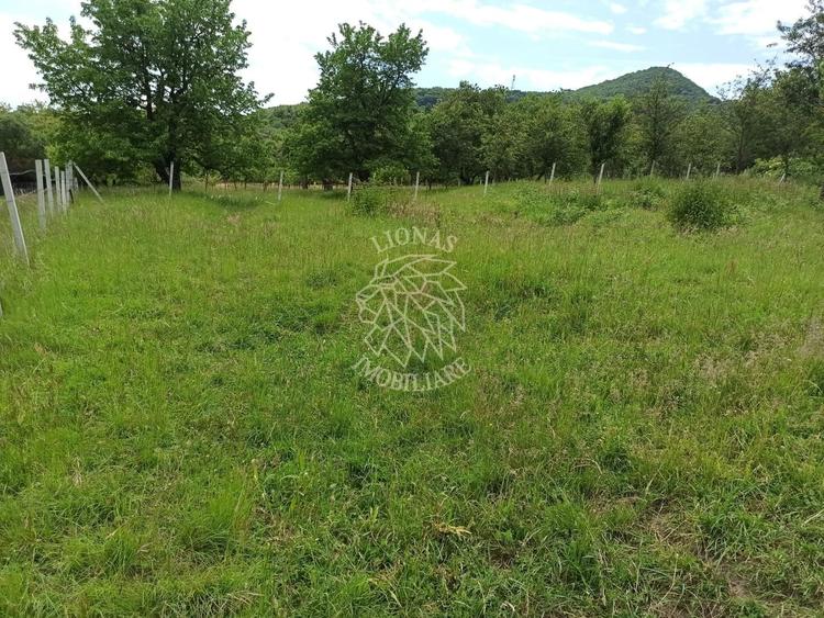 Teren agricol extravilan de 1000 mp, în Nord