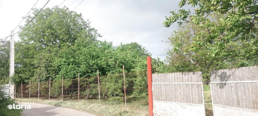Teren de 1460 mp, în Dascălu