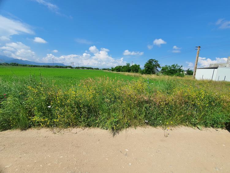 Teren Construcții intravilan de 4300 mp, în Sânpetru