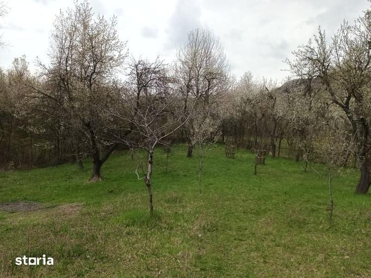 Teren de 10600 mp, în Dăești