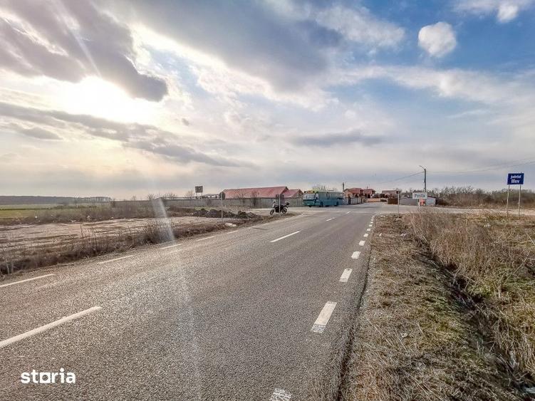 Teren de 13368 mp, în Cernica