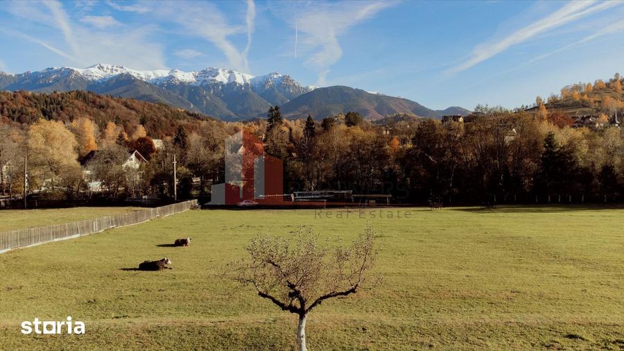 Teren de 8206 mp, în Moieciu