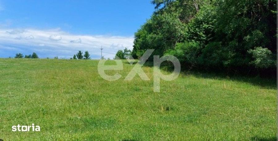 Teren de 400 mp, în Central