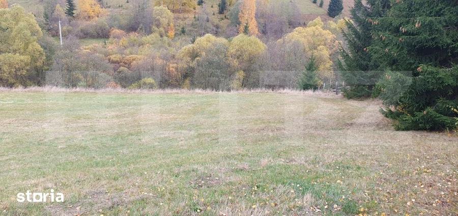 Teren de 4000 mp, în Șaru Dornei