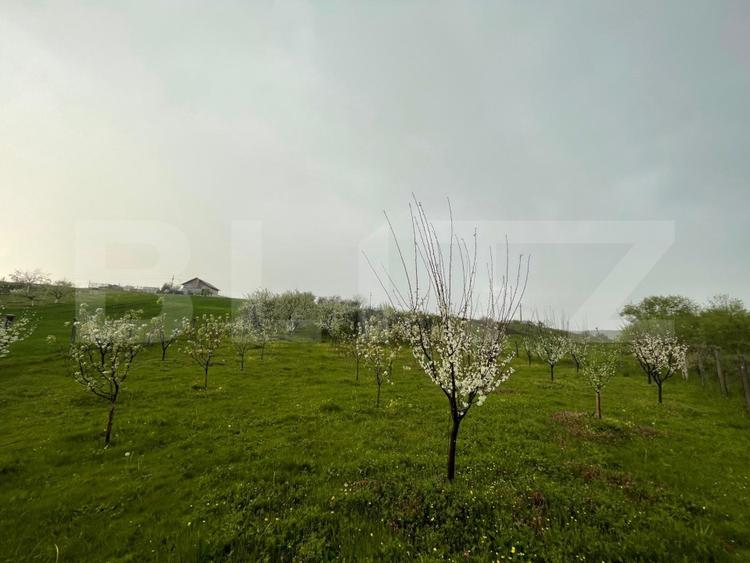 Teren Construcții intravilan de 4447 mp, în Exterior Est