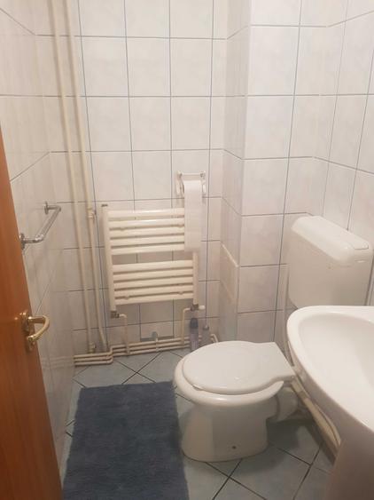 Apartament 3 camere Malu Rosu - Traian - 3