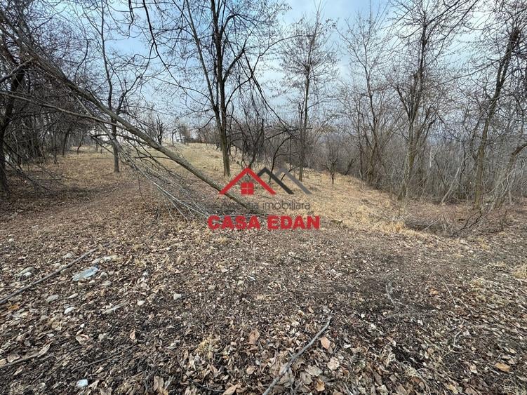 Teren Construcții intravilan de 3074 mp, în Cornu de Jos (Cornu)