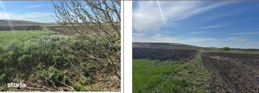 Teren extravilan cota parte 1/4, Corni, ID: R3128955