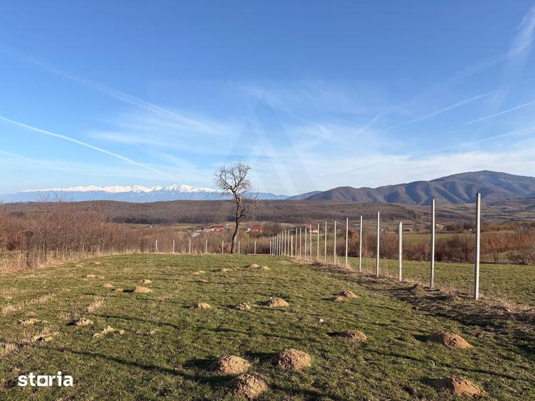 Teren de 809 mp, în Poplaca