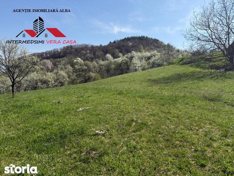 Teren de 13698 mp, în Vințu de Jos