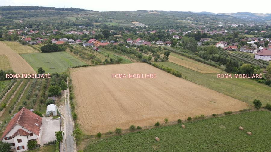 TEREN INTRAVILAN DE VÂNZARE – ȘOMCUTA MARE, MARAMUREȘ - 7