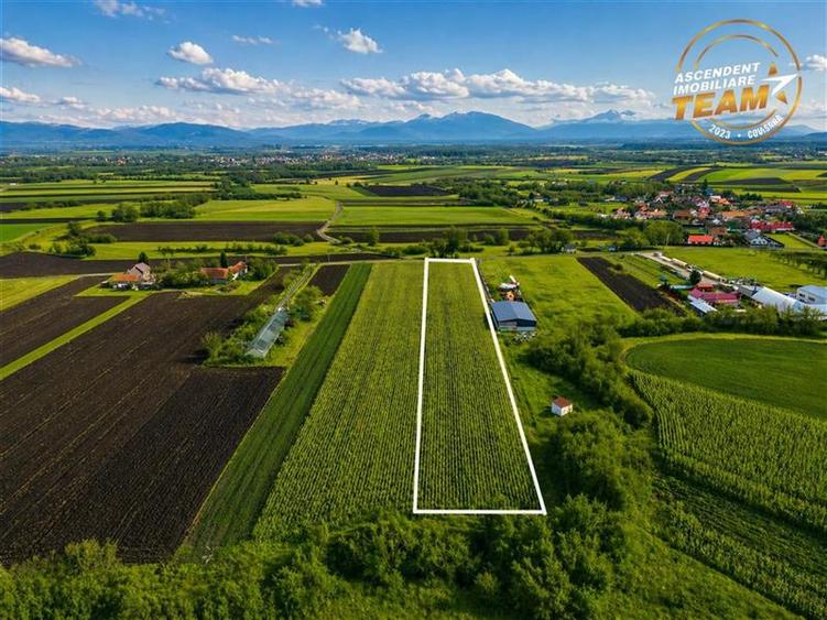 Teren intravilan de 5800 mp, în Dobolii de Jos